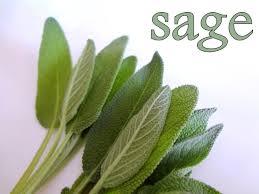 Health Benefits Of Sage And Type 2 Diabetes
