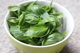 Health Benefits Of Basil Leaves