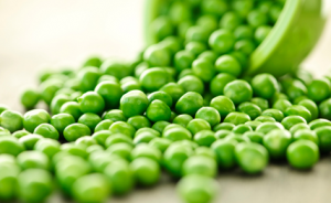 Health Benefits Of Pea Protein For Weight Loss